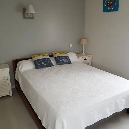 Renove A Royan, Proche Plage, Terrasse, Parking Prive - Fr-1-494-102 * رويا