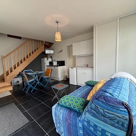 Renove A Royan, Proche Plage, Terrasse, Parking Prive - Fr-1-494-102